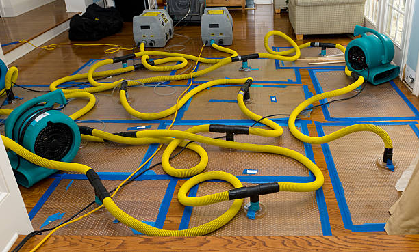 Professional Structural Drying And Dehumidification technician working in Spencer, TN